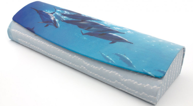 Футляр для очков R-H8013-25 (в ассортименте)