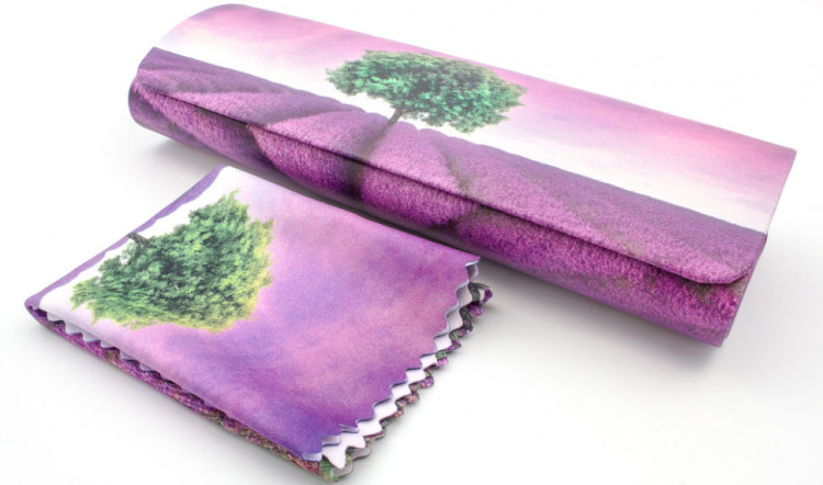 Футляр для очков W-251-87 с рисунком + салфетка