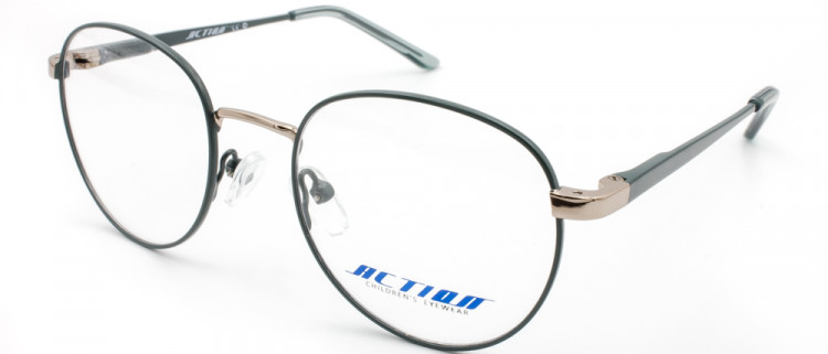 ОМД ACTION 1149 C3