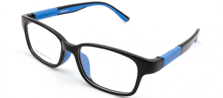 ОПД CHAMPION 2025 C2  Ш