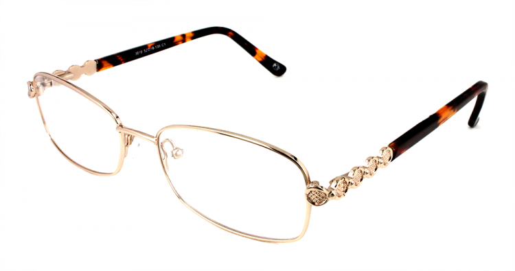 ОМ PAOLO ROSSI 3010 C1