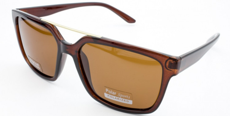 С/З POLAR SPORTS P6095 C2