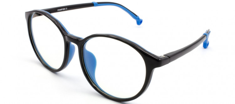 ОПД CHAMPION 2030 C2