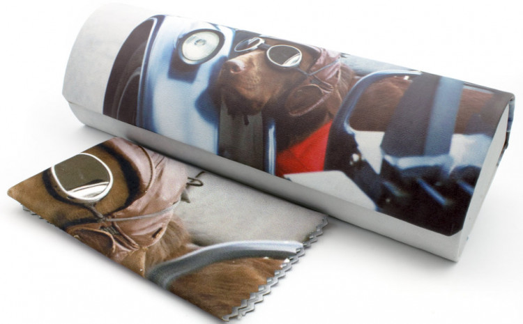 Футляр для очков R-H8039-29 детский (в ассортименте)