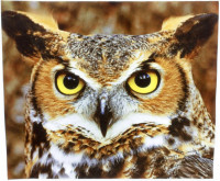 Салфетка для очков м/ф № 79