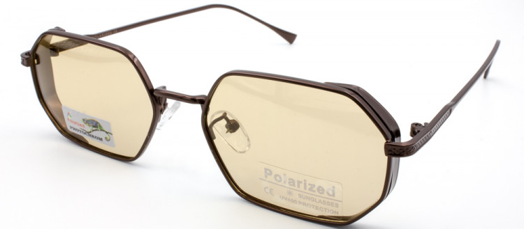 С/З POLARIZED фотохром 06005 C2