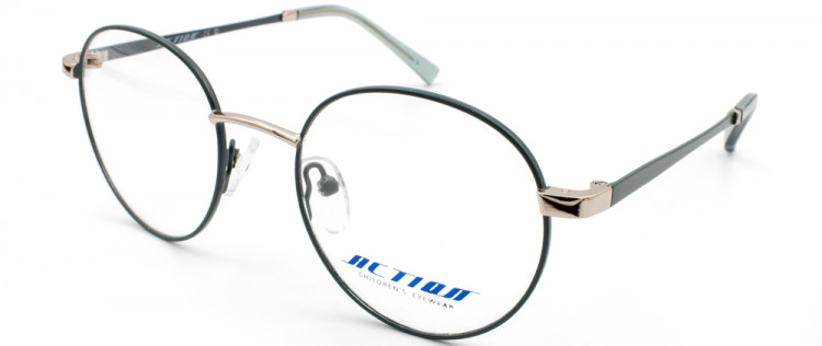 ОМД ACTION 1166 C3