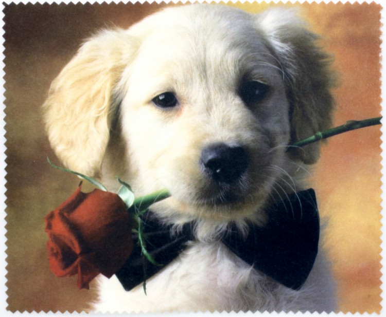 Салфетка для очков м/ф № 86