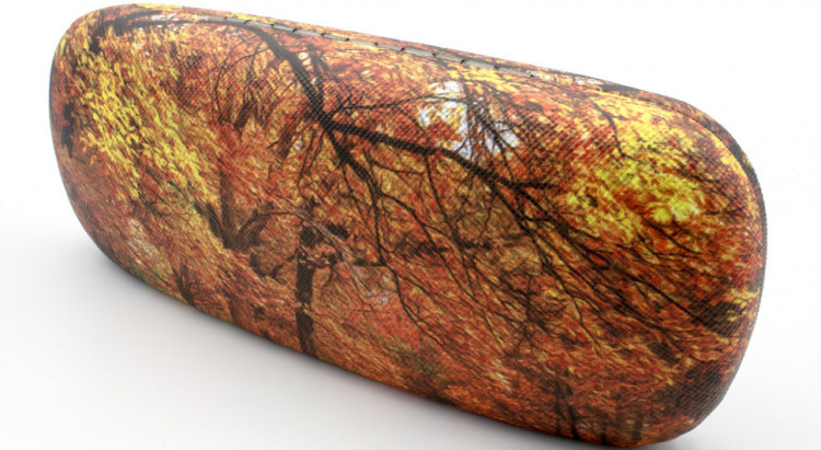 Футляр для очков 31A-10 с рисунком