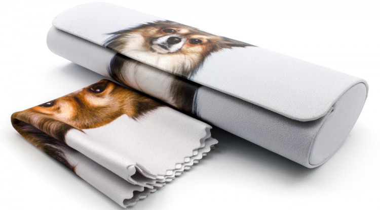 Футляр для очков W251-134 рисунок+салфетка