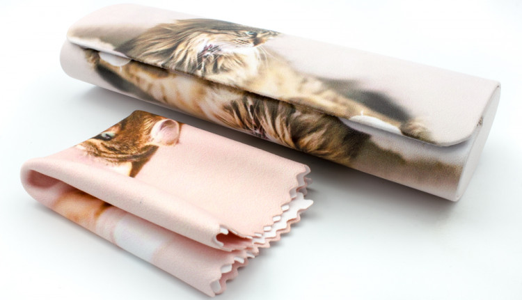 Футляр для очков W251-158 рисунок+салфетка