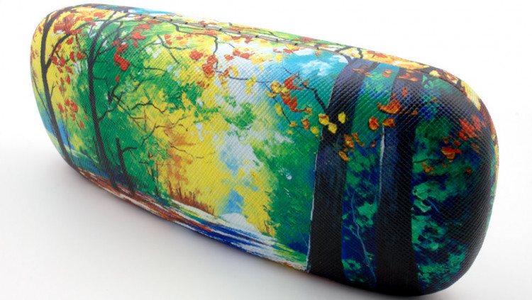 Футляр для очков 31A-2 с рисунком