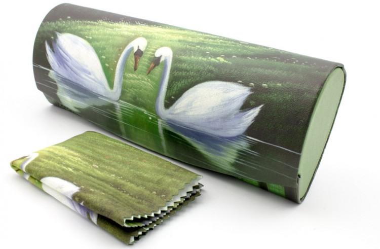 Футляр для очков W-290-15 с рисунком + салфетка