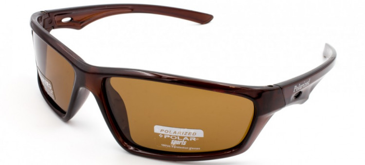 С/З POLAR SPORTS P6500 C2