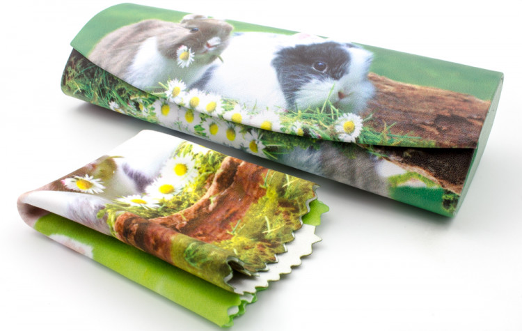 Футляр для очков W290-69 рисунок+салфетка