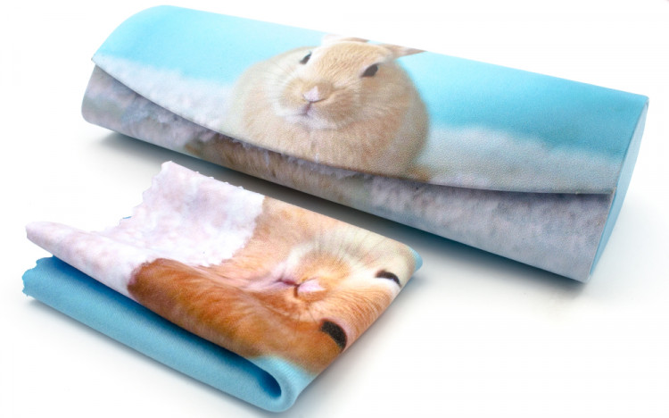 Футляр для очков W290-70 рисунок+салфетка