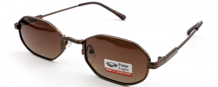 С/З POLAR EAGLE 06203 C2