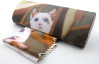 Футляр для очков W251-130 рисунок+салфетка