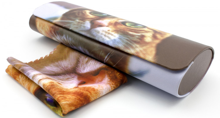 Футляр для очков W251-148 рисунок+салфетка