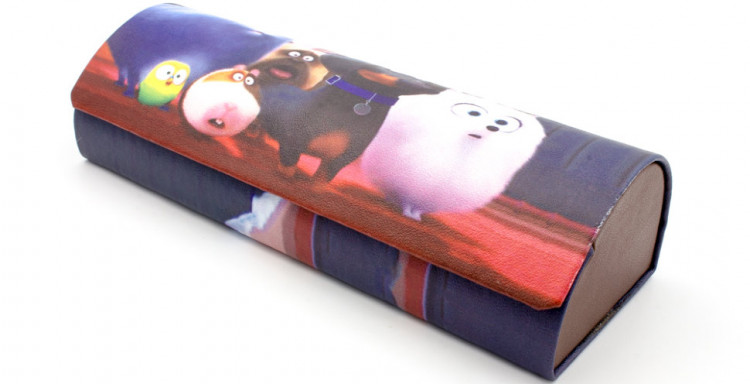 Футляр для очков R-H8141-21 детский (в ассортименте)