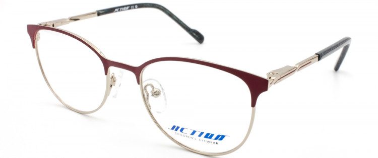 ОМД ACTION 1172 C2