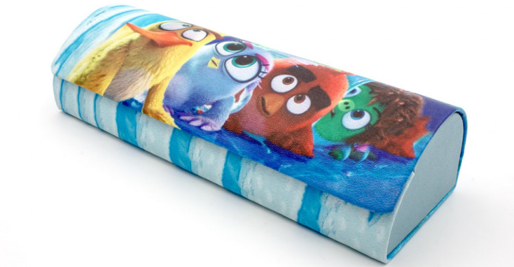 Футляр для очков R-H8141-22 детский (в ассортименте)