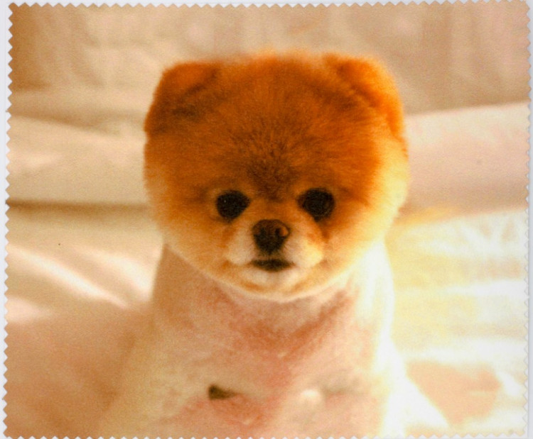 Салфетка для очков м/ф № 113