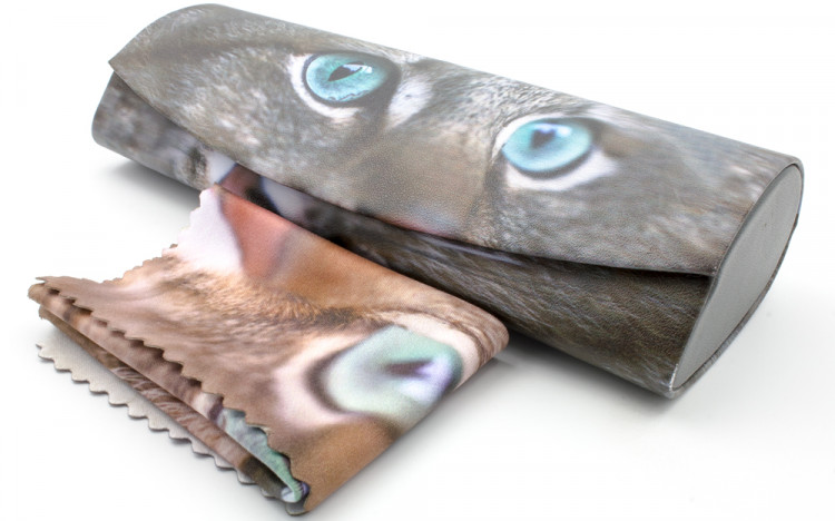 Футляр для очков W290-66 рисунок+салфетка