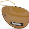 С/З POLARIZED 210 C2