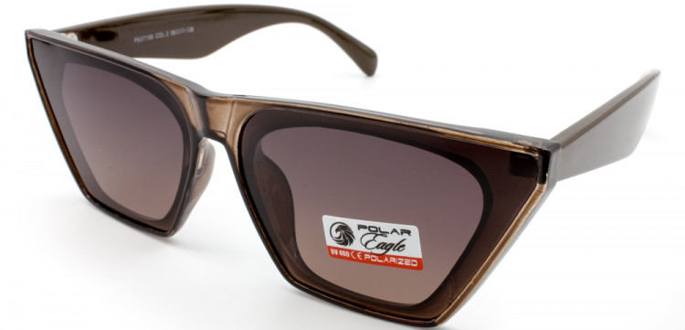 С/З POLAR EAGLE 07198 C2