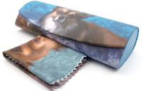 Футляр для очков W290-68 рисунок+салфетка