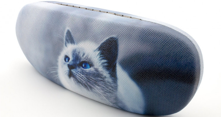 Футляр для очков 621-1 с рисунком  Ш