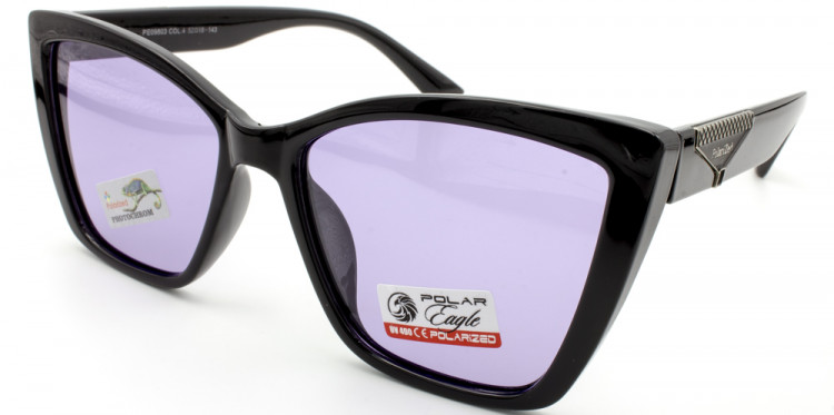 С/З POLAR EAGLE 09803 C4-1