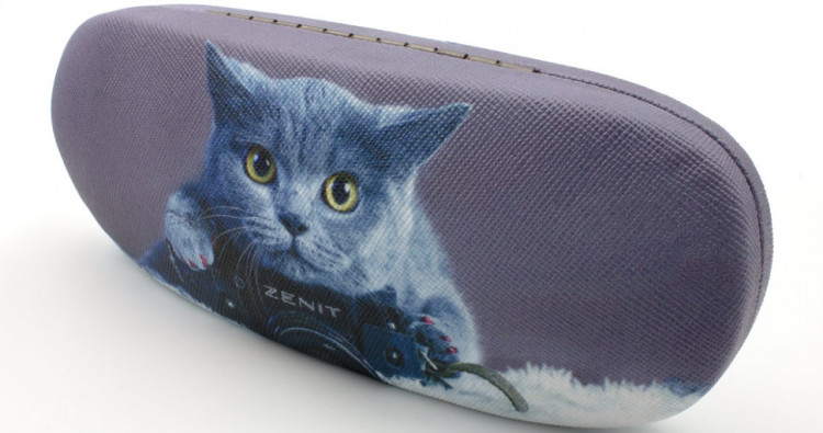 Футляр для очков 621-2 с рисунком  Ш