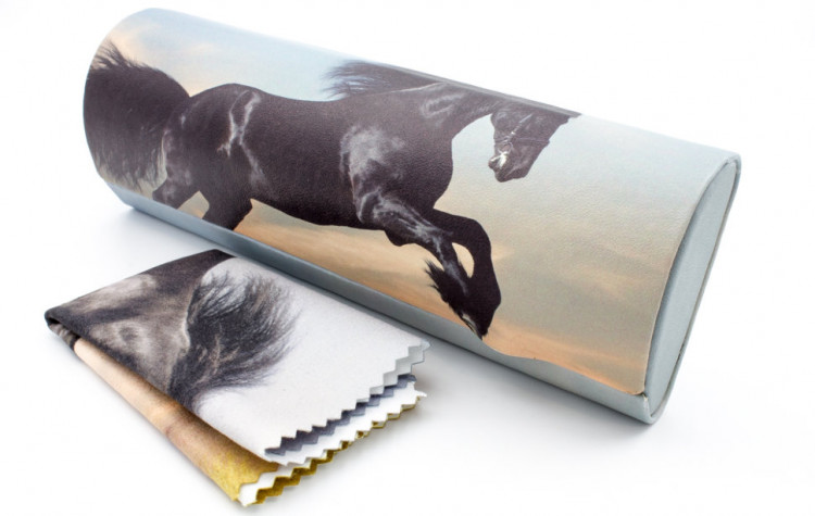 Футляр для очков W-235-8 с рисунком + салфетка