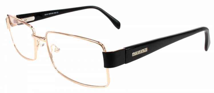 Оправы корригирующих очков металлические ACCELEIATOI 010 C1