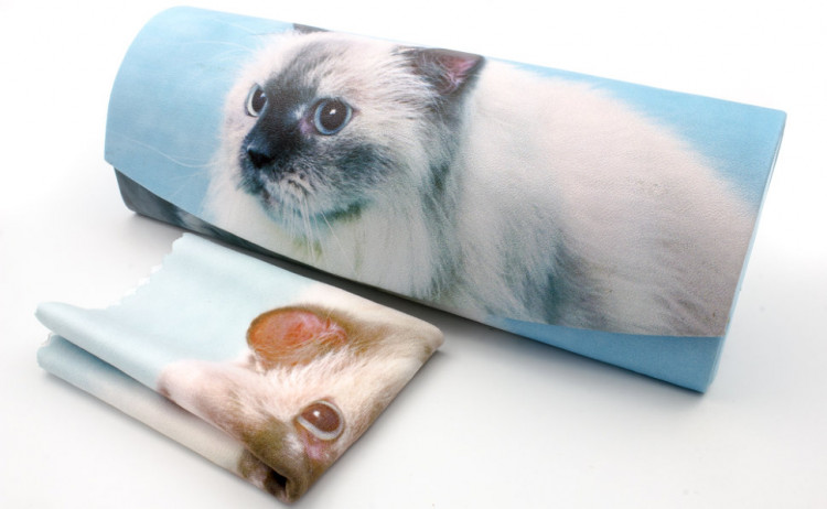 Футляр для очков W-290-50 с рисунком + салфетка