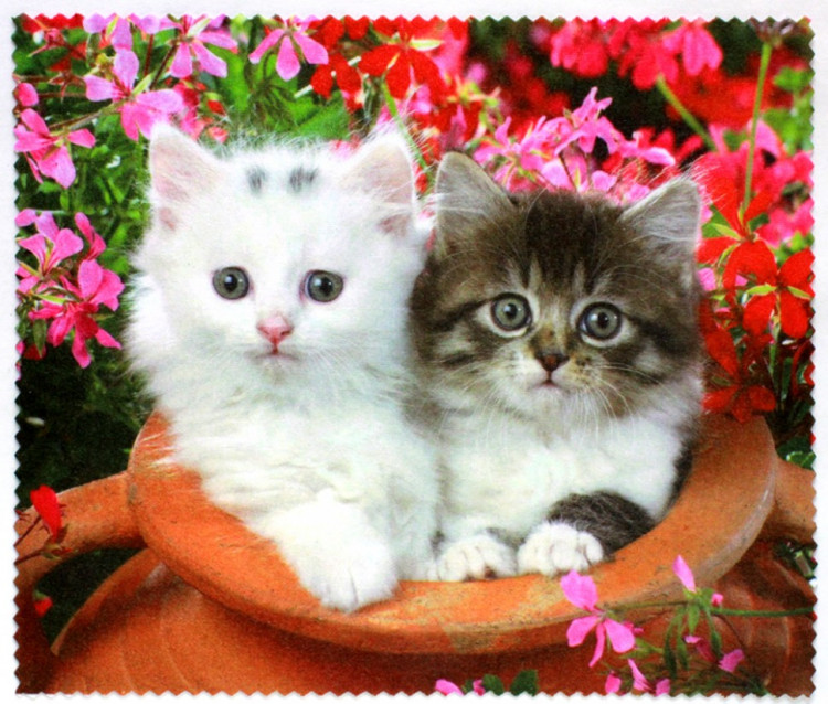 Салфетка для очков м/ф № 01