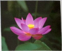 Салфетка для очков м/ф № 139