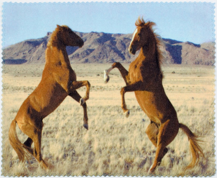 Салфетка для очков м/ф № 03