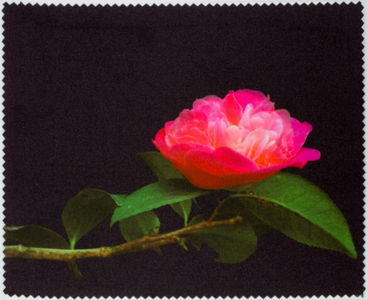 Салфетка для очков м/ф № 142