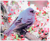 Салфетка для очков м/ф № 05