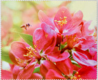 Салфетка для очков м/ф № 144