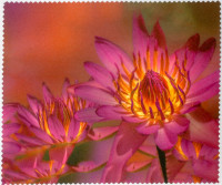 Салфетка для очков м/ф № 145