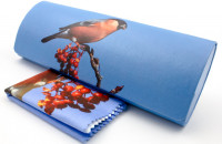 Футляр для очков W-251-29 с рисунком + салфетка