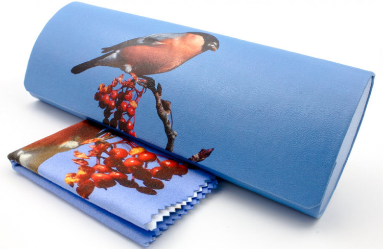 Футляр для очков W-251-29 с рисунком + салфетка