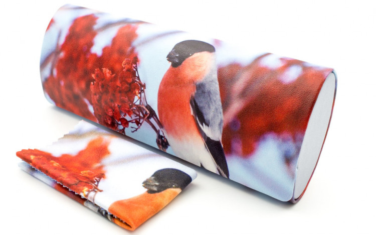 Футляр для очков W-251-30A с рисунком + салфетка Снегирь